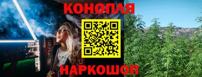 крисы Пыть-Ях