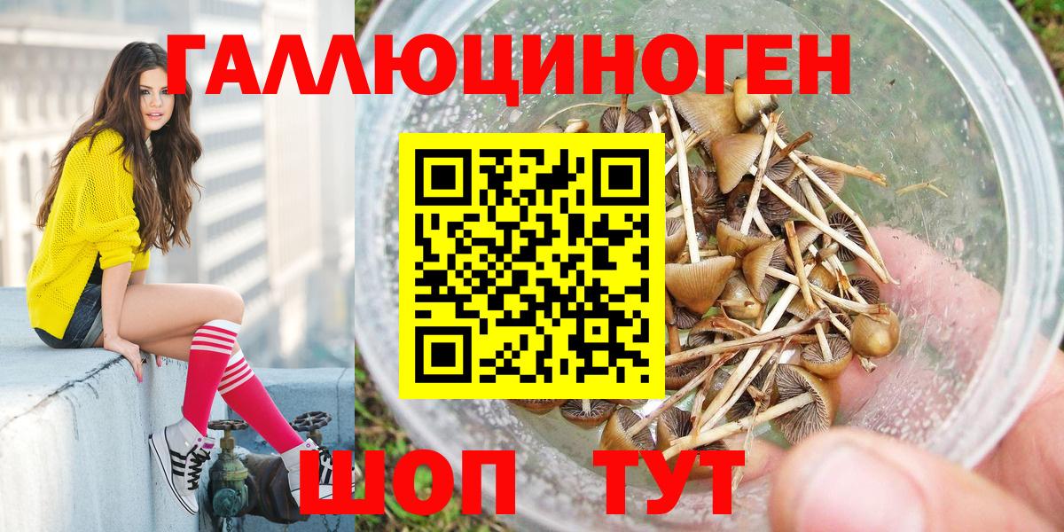 Псилоцибиновые грибы Cubensis Солнечногорск