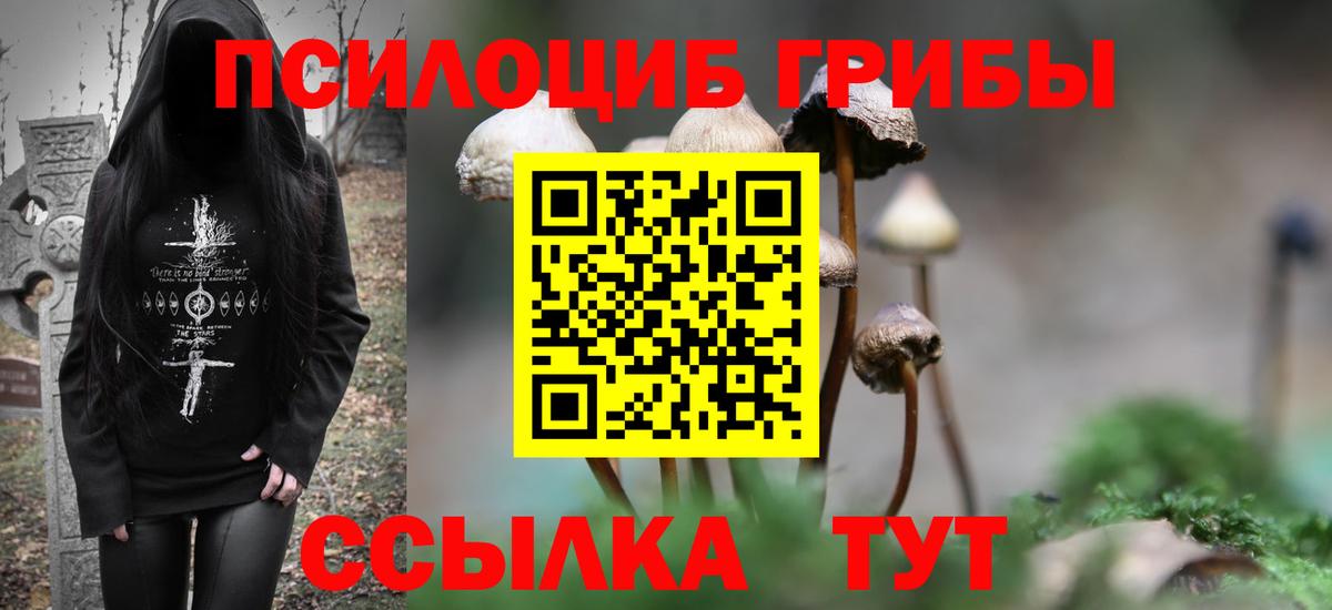 Галлюциногенные грибы Magic Shrooms  Вход с VPN  Галлюциногенные грибы MAGIC MUSHROOMS  Солнечногорск 